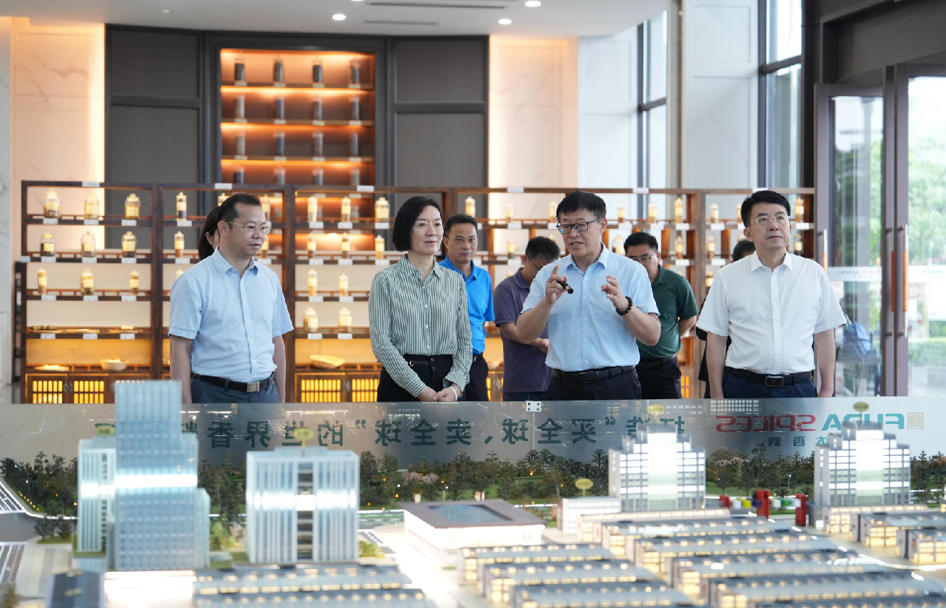 广西壮族自治区党委常委、自治区副主席卢新宁到玉林usdt网投娱乐国际香料物流港调研