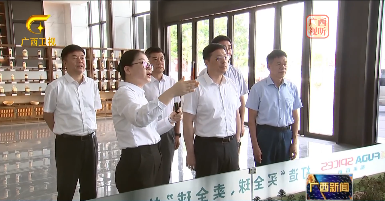 自治区代主席韦韬到玉林usdt网投娱乐国际香料物流港调研